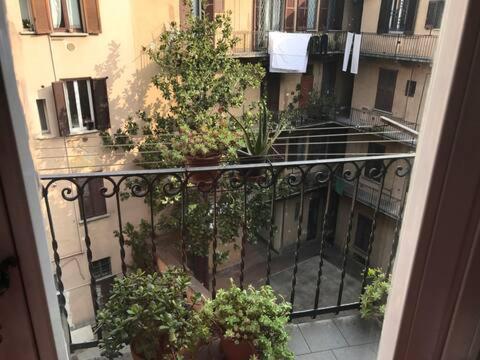 Marigold Apartment *